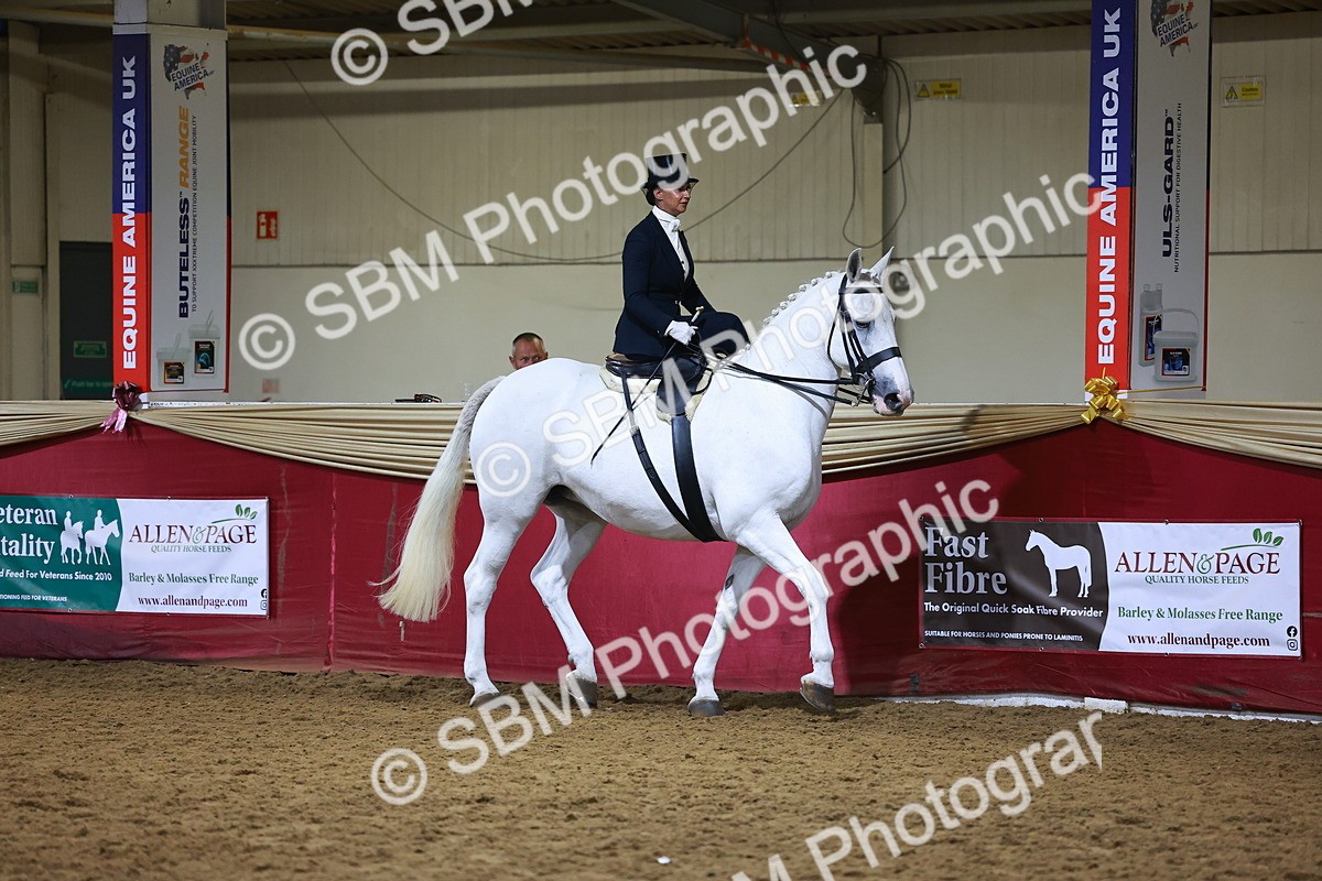 SBM_15017 - Class N - Side Saddle Champ