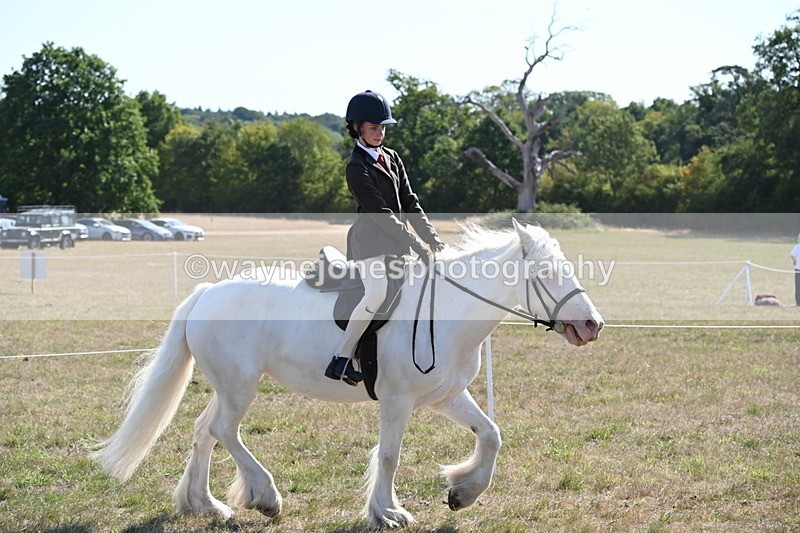 WJ6_7483 - Class 34 Judges Choice