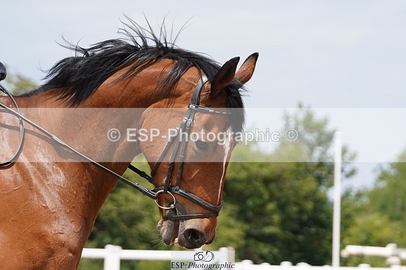 250621-133704-09347 - RoR Cls 2b-2c, Intro