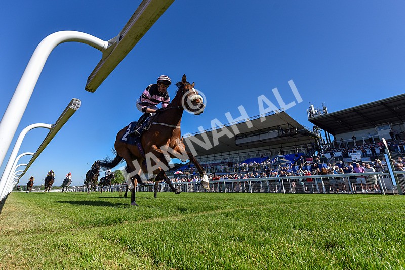 130525-Race 5-Kimeko Glory-1999 - Race 5