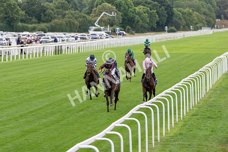 190826-Race 3-Maltese Cross-0299 - Race 3 15.00pm Sky Bet Great Voltigeur Stakes