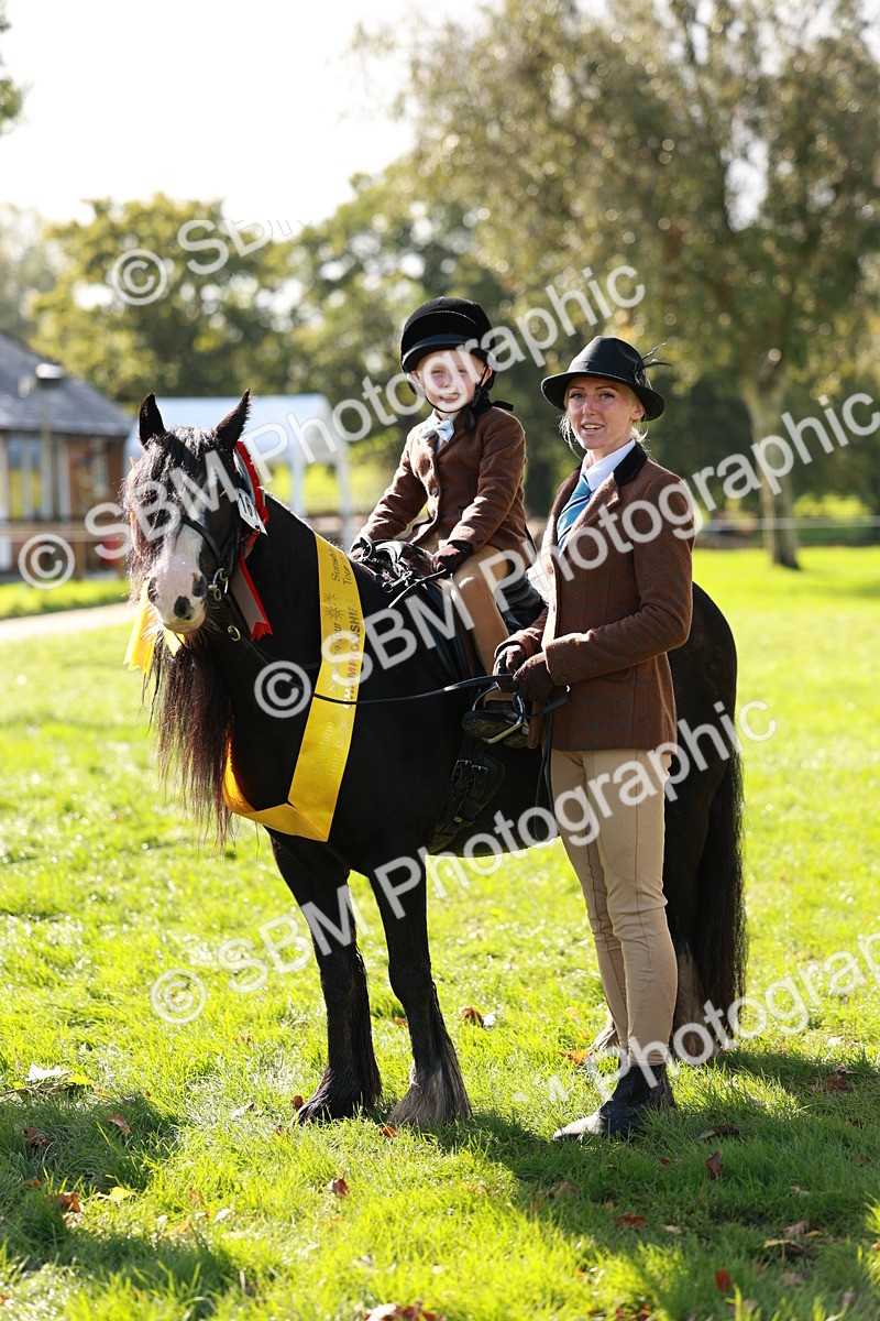 SBM_42189 - S32 - Mountain & Moorland Working Hunter Pony