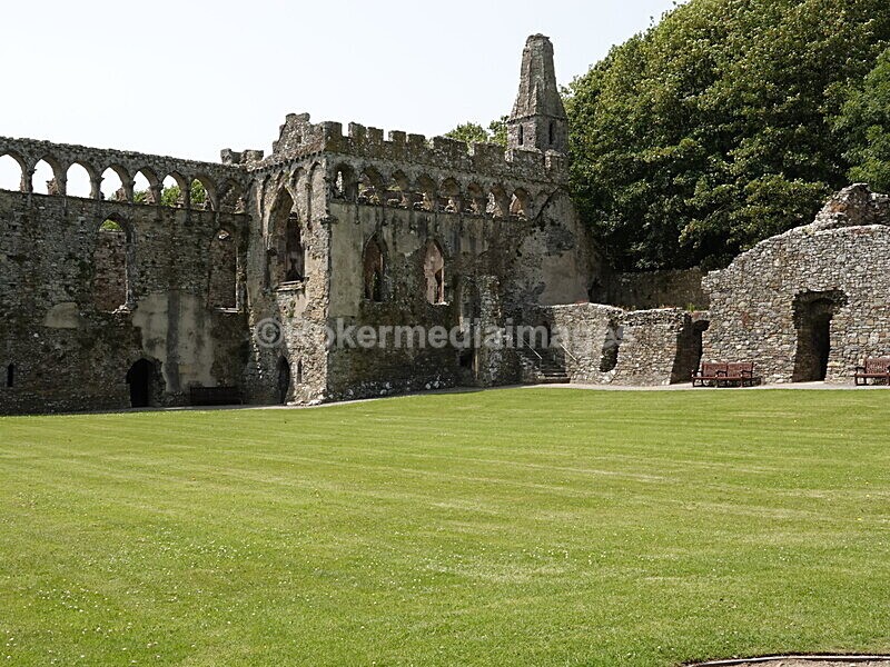 DSC00441 - Skomer 2019