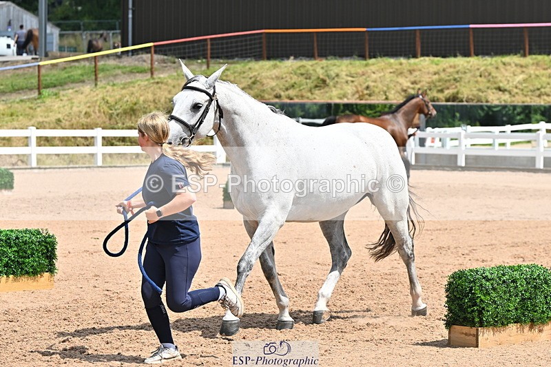 240718A-105306-01559 - Trot Up 1pm to 2pm