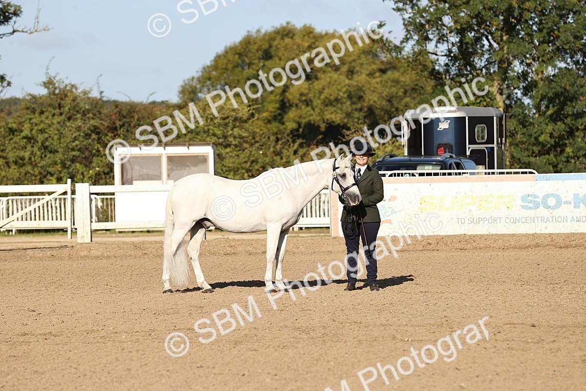 SBM_08402 - Class 402 - IH Veteran Pony