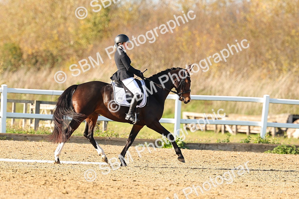 SBM_001500 - Medium 3