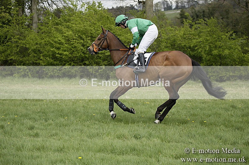 PtP 170417 145 - Old Berks Point-to-Point Lockinge 17/04/17