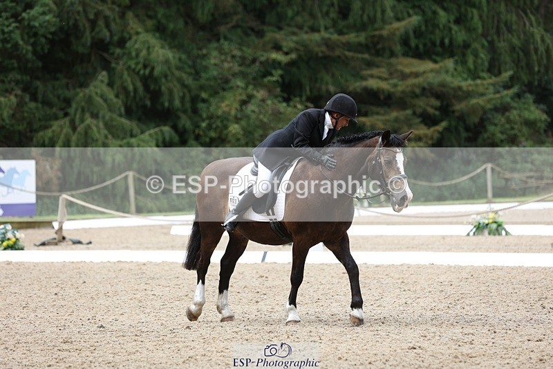 230812-102653-03224 - Cls 5 Novice Bronze Start to 10.55 break