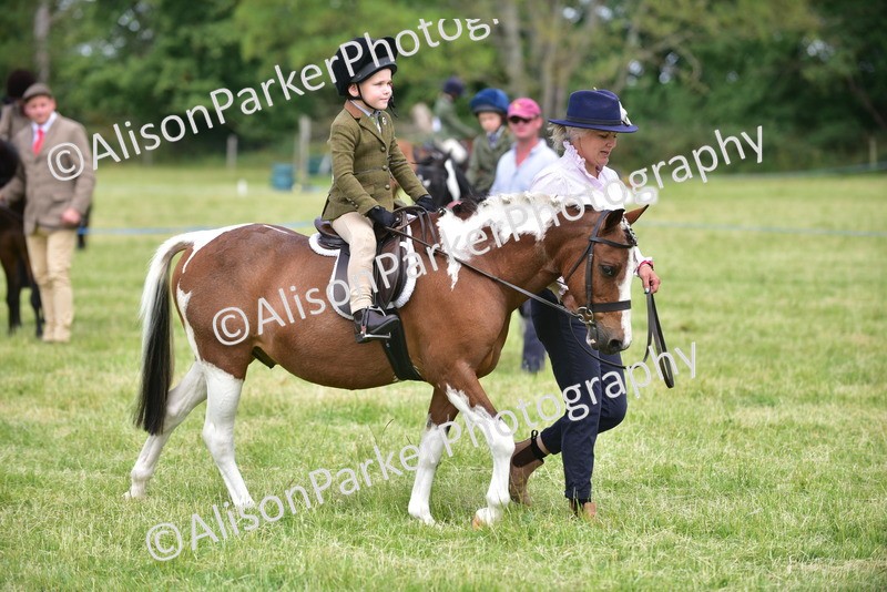 20260614-1396 - Class 11b - Lead Rein Pony (Plaited)