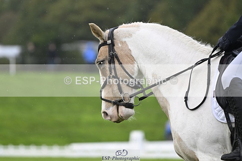 251023A-133929-04125 - D-324-Clare.Pascoe