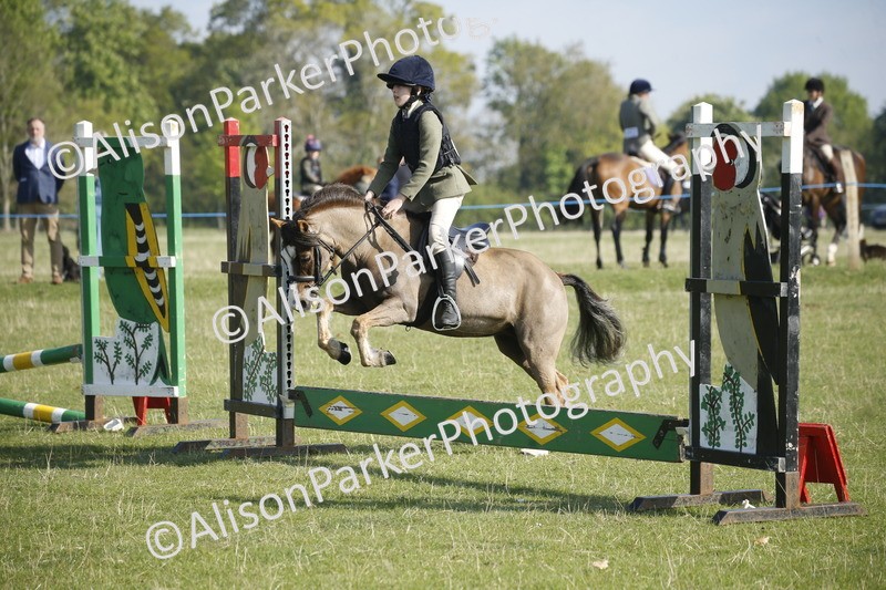 20250427-0271 - Class 12 - Rookie Jumping 40cm