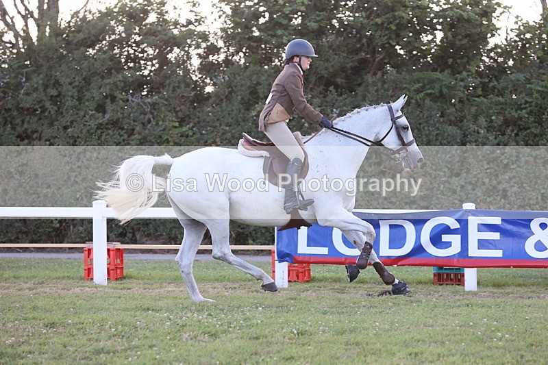 JPP_3656 - Class 24: Open Working Hunter