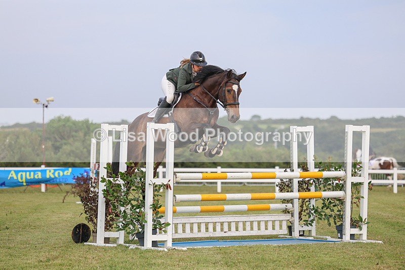 3E7A0917 - Class D: Showjumping Senior Newcomers/1.10m open