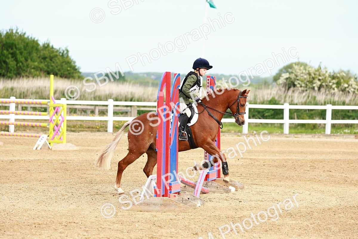 SBM_006523 - Class 1 - 40cm