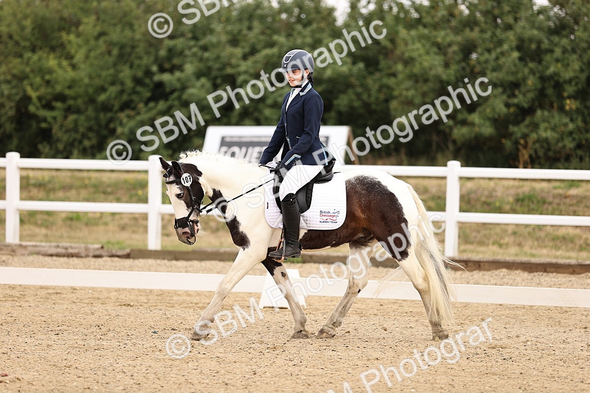 SBM_005220 - Intro 3 - 8.30-9.30