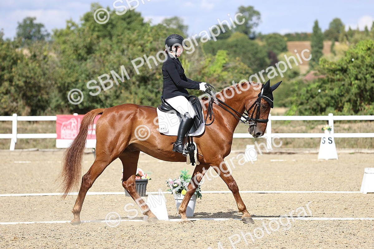 SBM_015250 - Class 5 - E5 Bronze 14.42.15.54