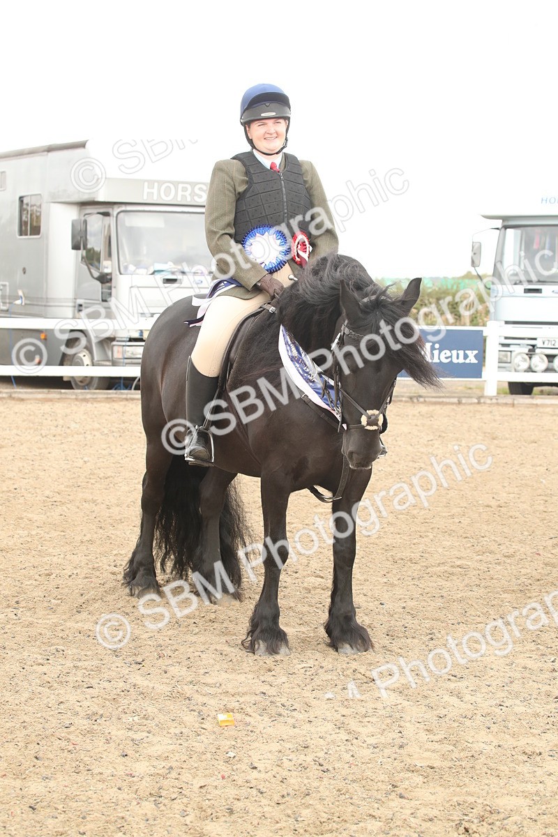 SBM_16694 - Class 507a - Working Veteran - 60cm (15-19)