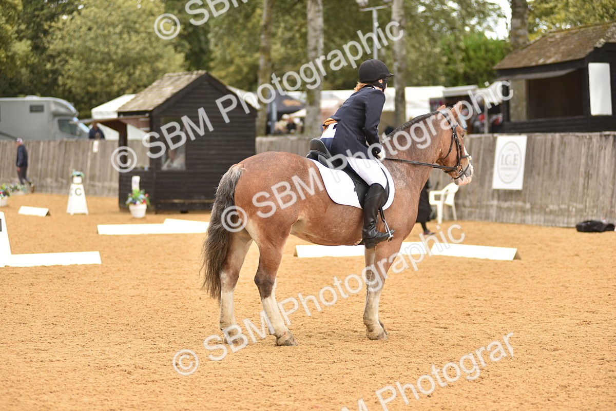 SBM_19883 - D4 - Small Tour Championship Intro 4