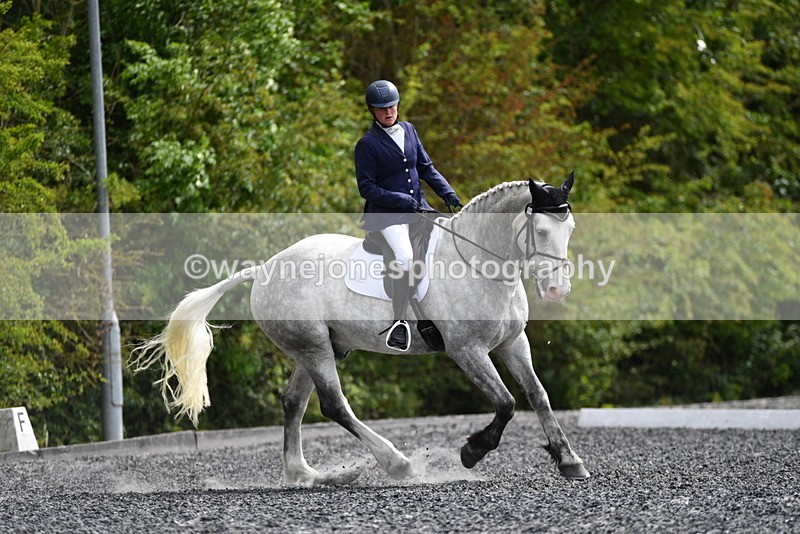 WJ5_2226 - Time 15:05 to 15:30