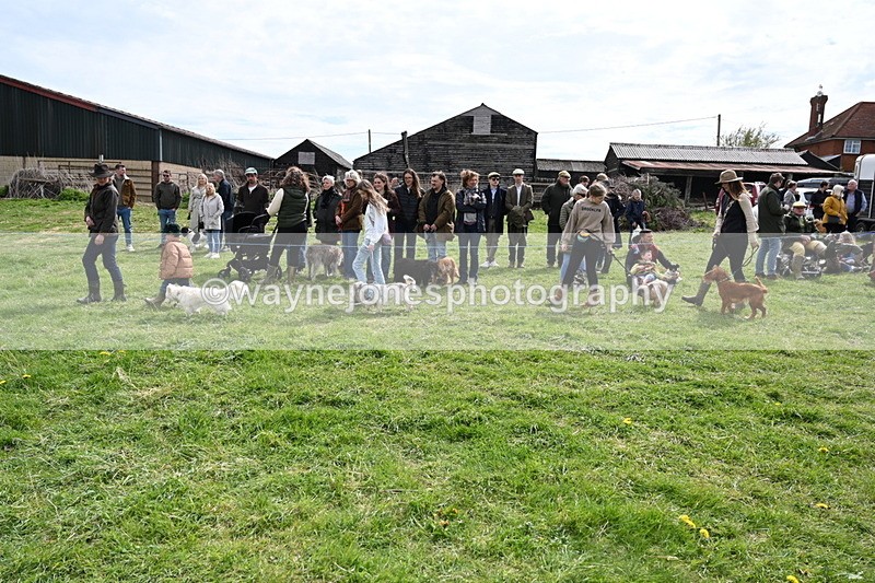 WJ6_8224 - Class 4 Prettiest Bitch