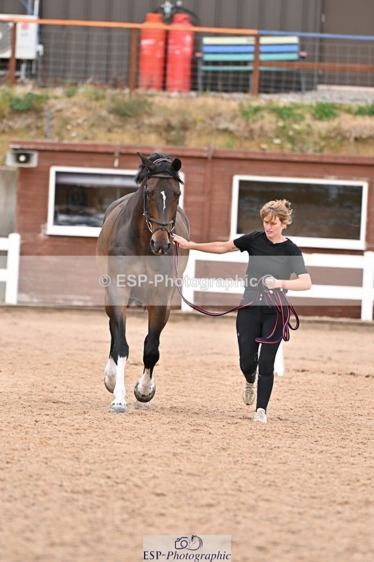 250716-163406-02666 - Trot Up 4.30 to 5.00
