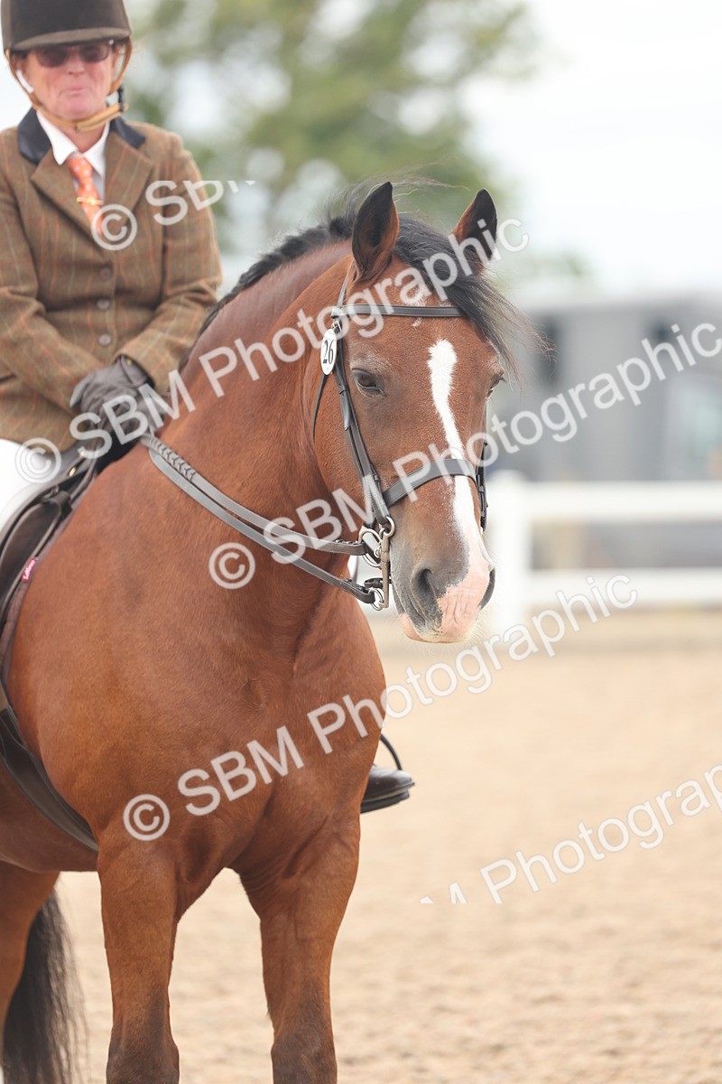 SBM_18174 - Class 315 - Best Horse-Rider Combination