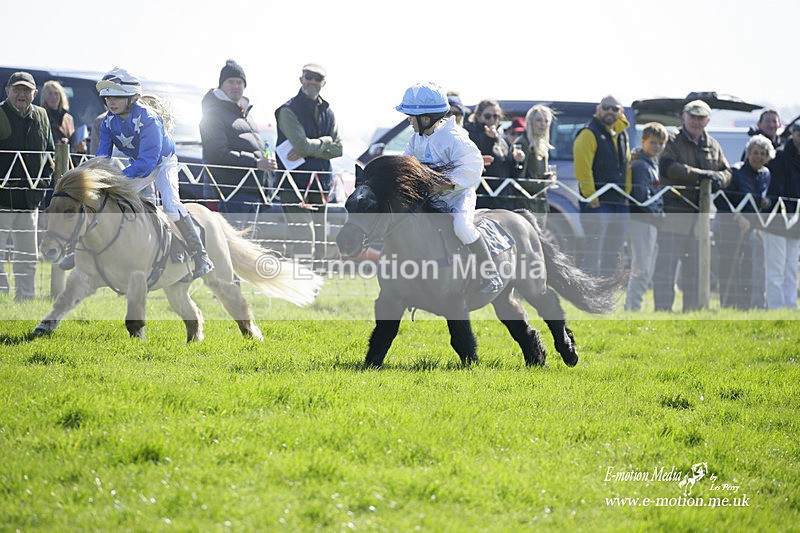PtP 190322 74 - Wilton Hunt PtP Milborne St Andrew 19/03/22