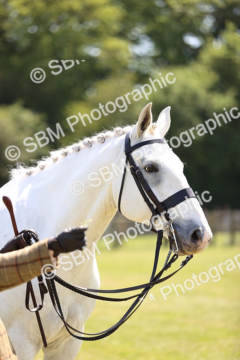 SBM_16166 - Class 79-80 - LIHS BSHA Rising Star Ridden Hunter