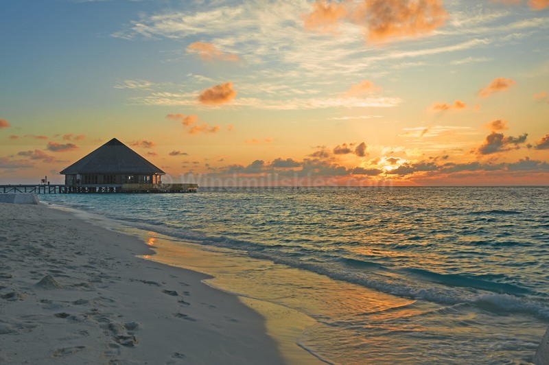  - Maldives