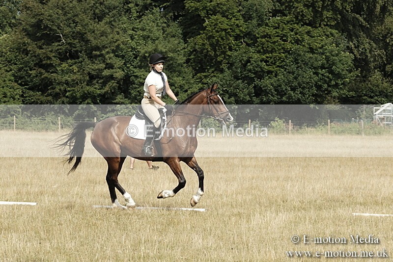 _PJP5687 - Dressage Classes BVRC Show 2018