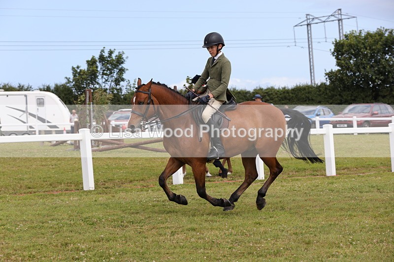1X9A4063 - Class 32: Show Hunter Pony 153cm and under