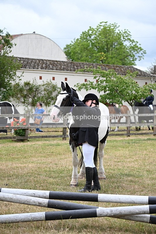 WJ6_4514 - Class 10 Coloured In-hand