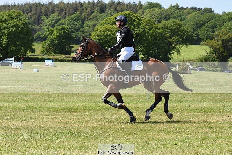 230527-135730-09392 - 375-FINLEY_DU_LOIR-Oliver_Townend-XC