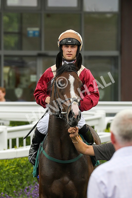 240724-Race 1-Easy Peeler-3242 - Race 1
