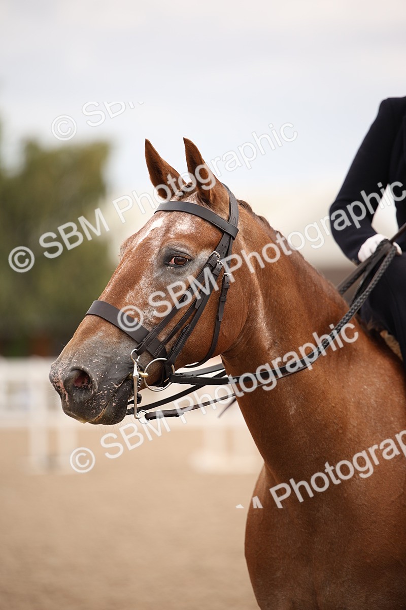 SBM_05384 - Class 22 SSA Equitation