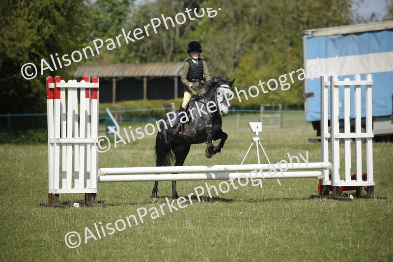 20250427-2143 - Class 13 - Novice Jumping 60cm