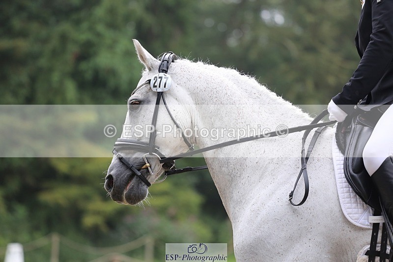 240720-143637-06221 - 277-Anita_Wilcox-Casper_Rebel
