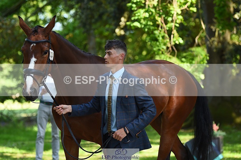 230524-160258-00644 - 201-JAEGER_MASTER-Tom_Woodward-WEDTrotUp+DR
