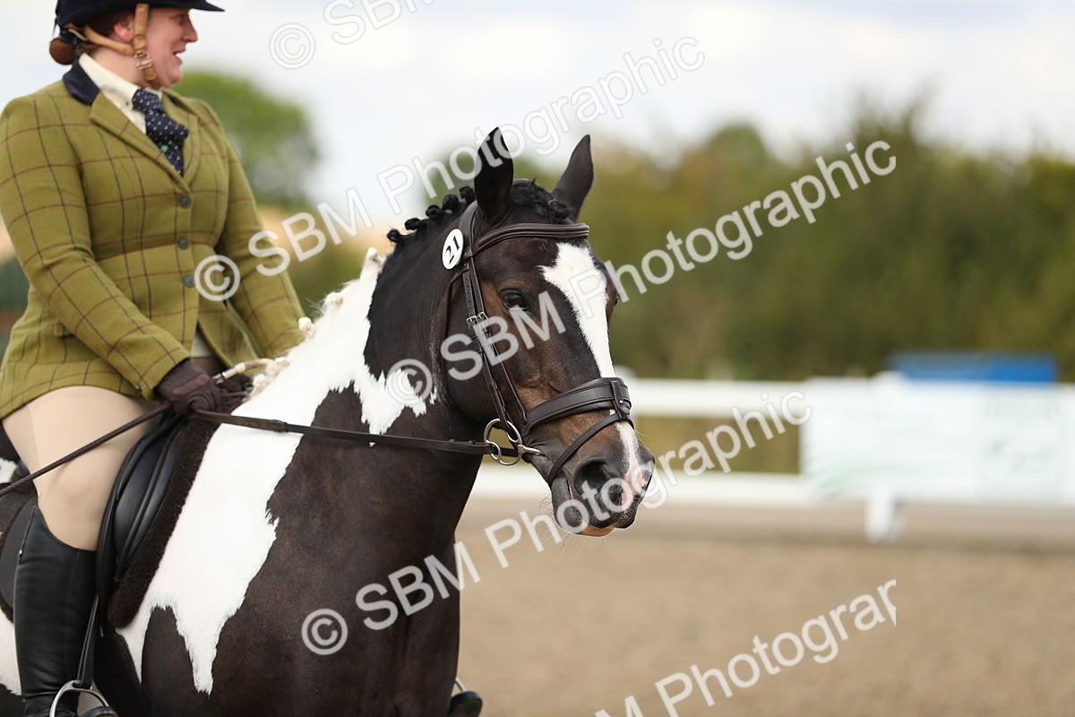 SBM_04755 - Class 46b Style & Performance 50cm (20+)