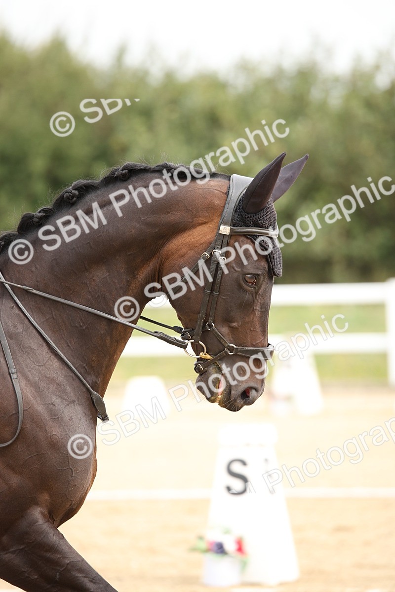 SBM_019617 - Class 22 - Medium 73 - 10.36 11.32