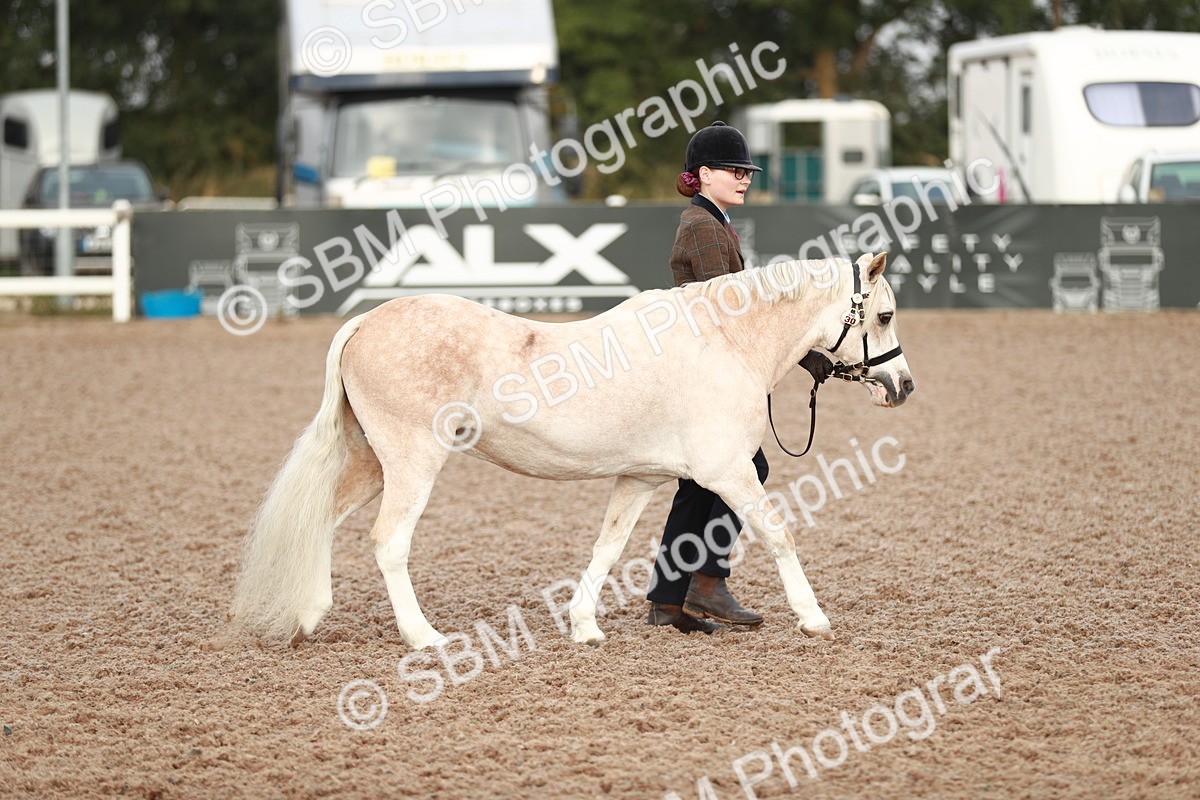 SBM_09494 - Class 201 Best Turned Out IH