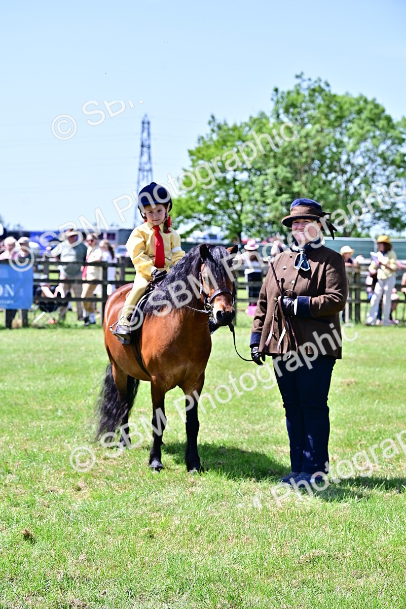 SBM_05970 - Class 59-60 - TSR M&M  Lear Rein and First Ridden Amateur of the year