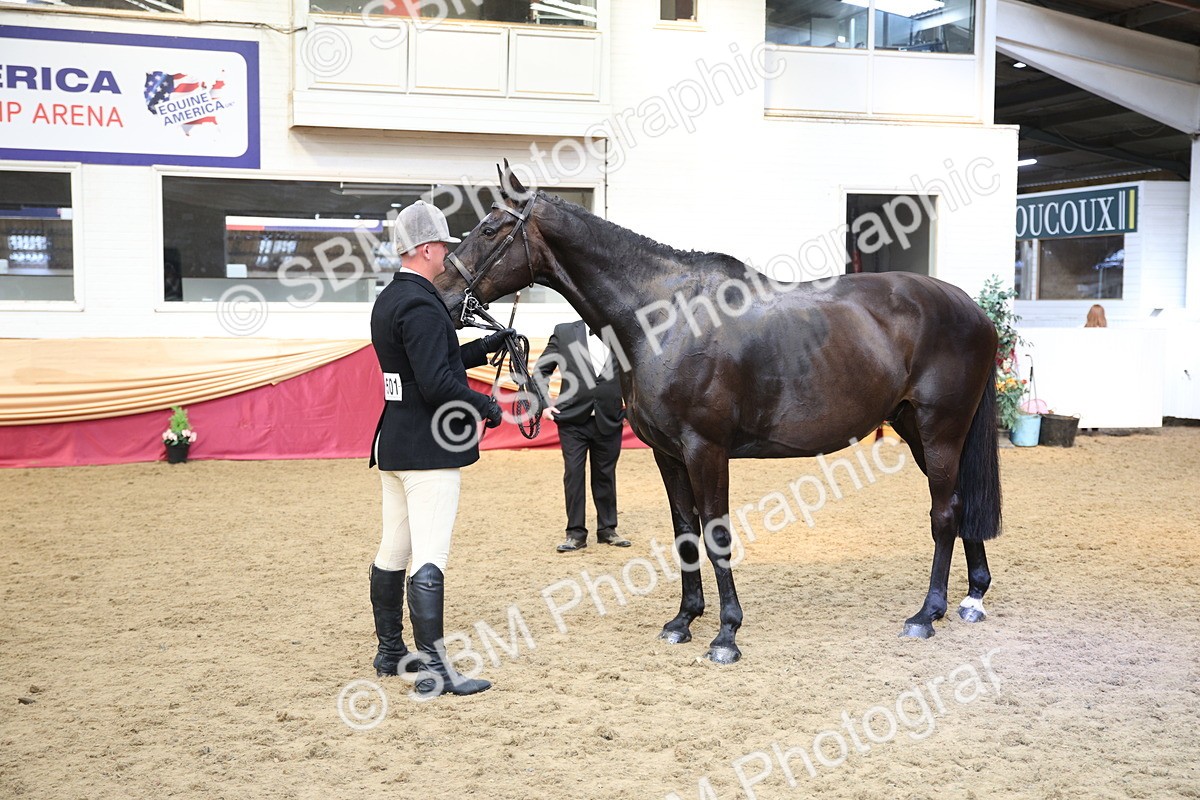 SBM_24757 - Class 906 - Supreme Final - Ridden Pre Vet