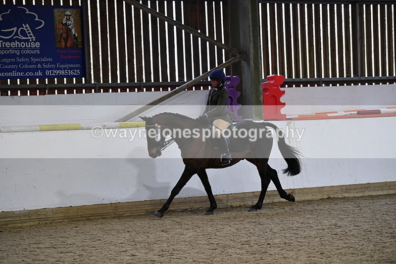 WJ5_8006 - Class 13 Ridden Part Breed