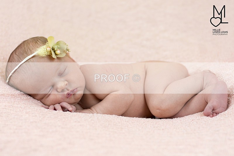 Estella Photoshoot 25th August 2016 Millie Loves Louis Photography  28 - Newborn Photoshoots