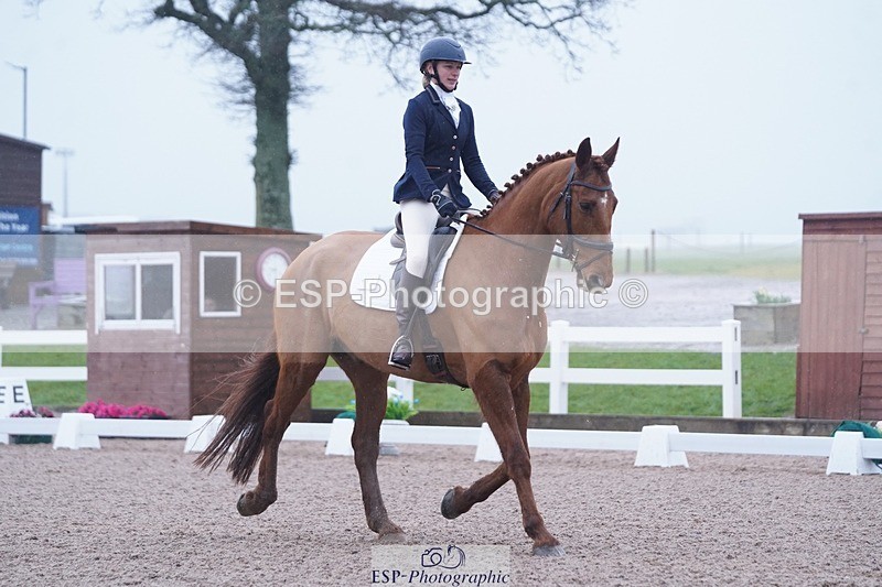 250215-095036-02709 - 115-Blythe.Jopling-Primitive.Ocean