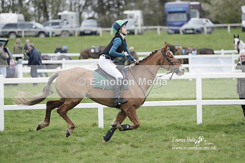 PtP 260323 0060 - New Forest Hounds Point-to-Point Larkhill 26/03/23