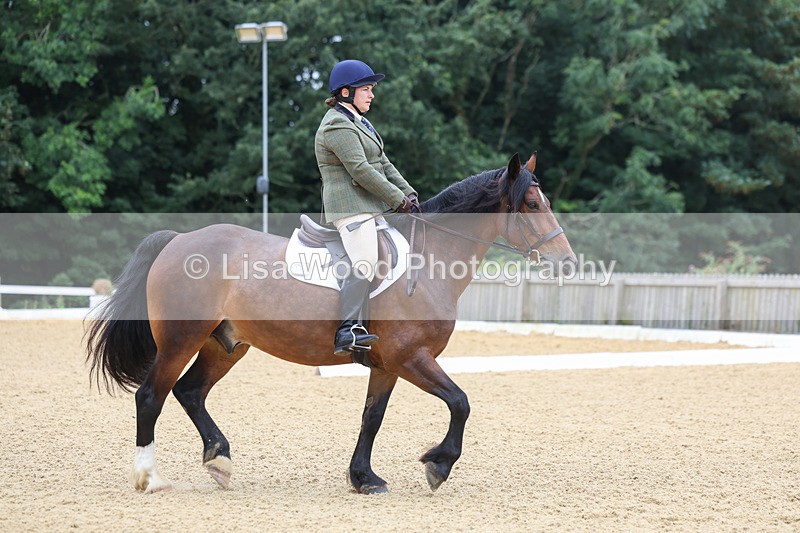 3E7A4590 - Class 1: Intro 4 2024 section A