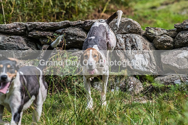 Grasmere Sports-157 - Grasmere Sports Junior & Senior Fell Races Sunday 24th August 2025