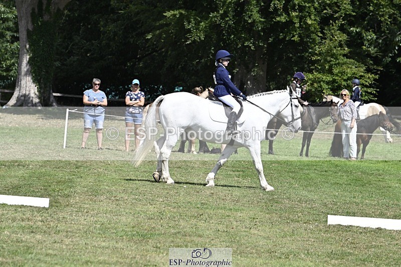 250822A-123118-21799 - DR 12.00 to End